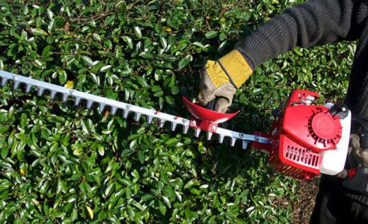 Hedge trimming