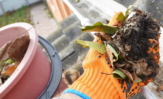 Gutter cleaning